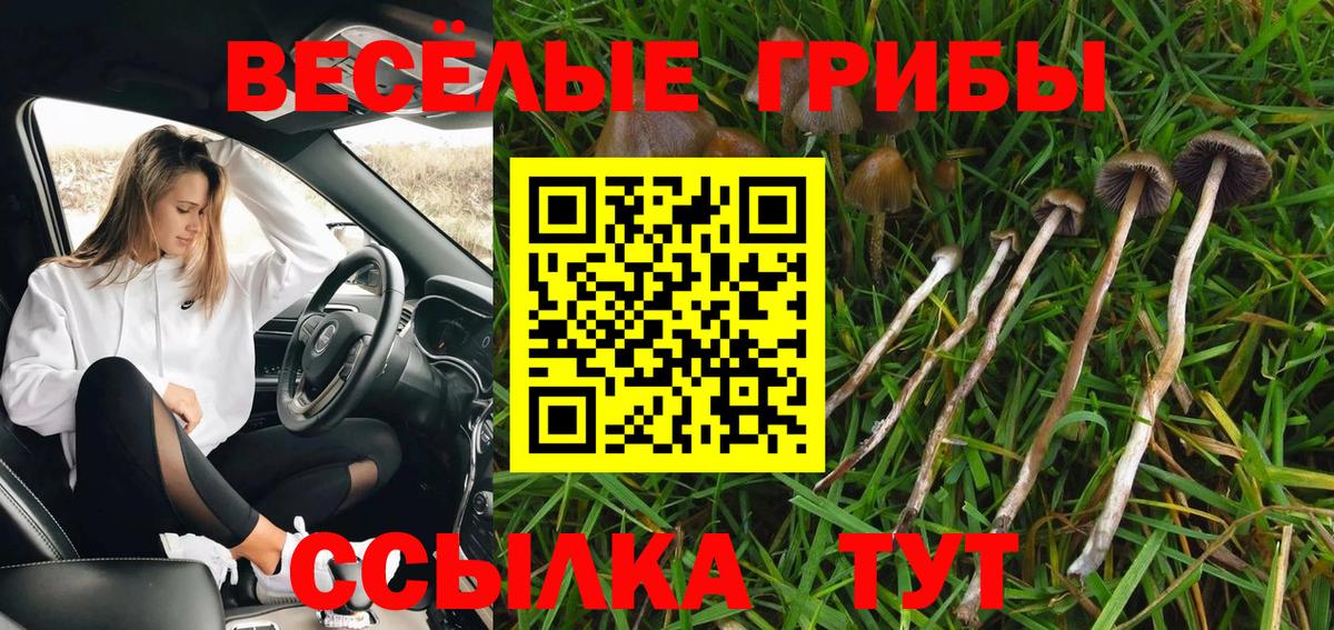 Галлюциногенные грибы мухоморы  Вход с VPN  Алейск 
